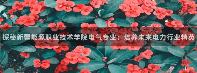 凯发手机官网客户端