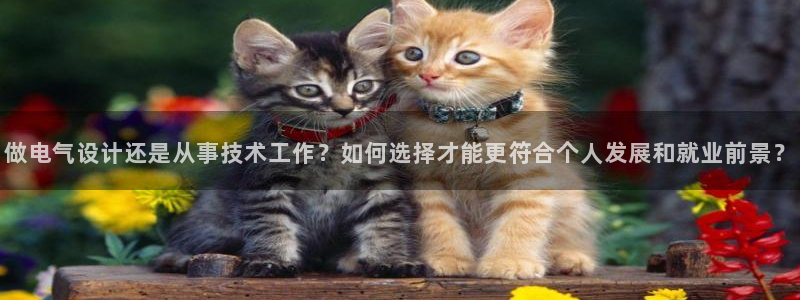 凯发平台风采