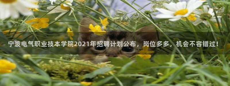 凯发官网地址