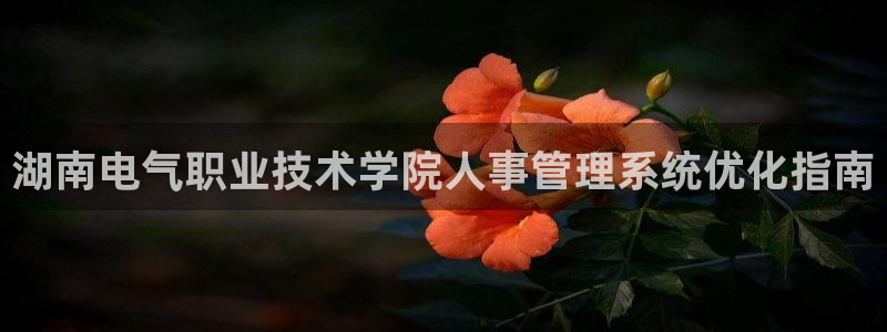 凯发国际平台首页