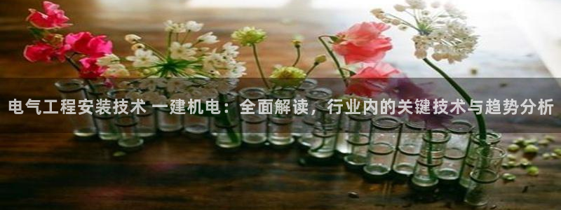 凯发k8手机是正品吗