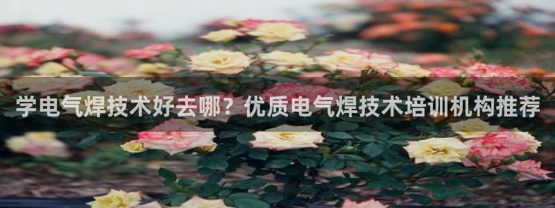 凯发官方网站下载