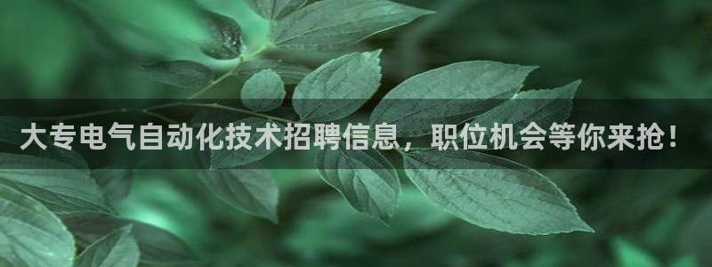 凯发k81111国际真人版
