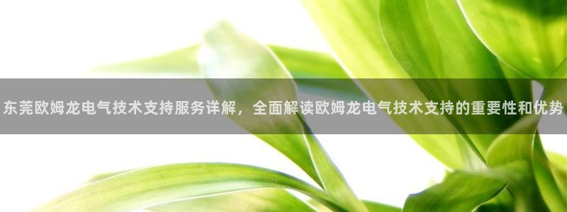凯发k8娱乐倒闭了吗