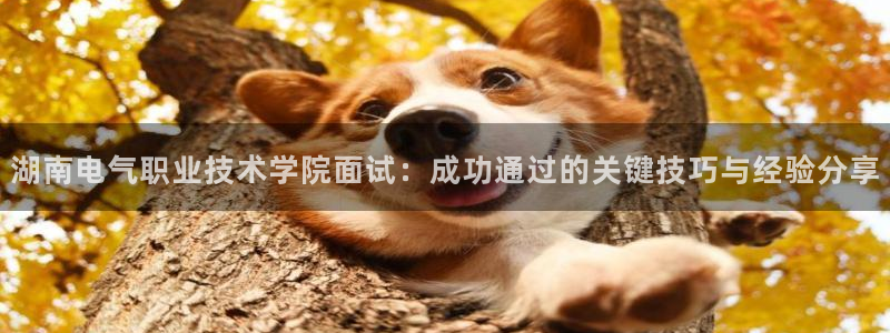 凯发首页