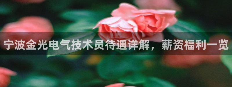 凯发官方网站是多少