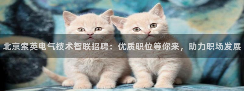 凯发k8娱乐是哪个国家的