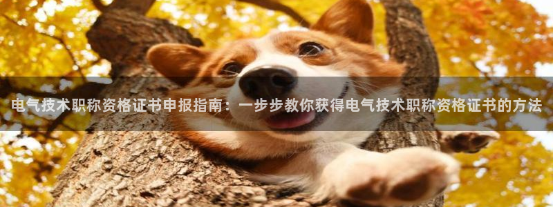 凯发网站是多少