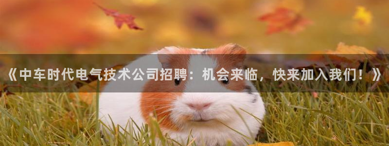 凯发k8客户端