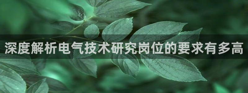 凯发网址多少