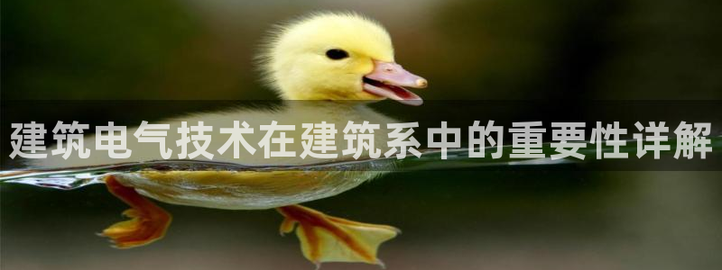 凯发官方网站下载