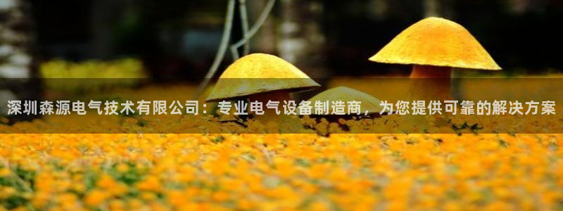 凯发旗舰网站