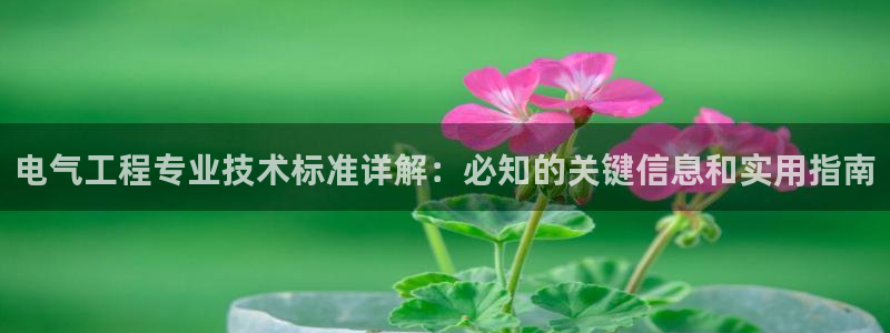 凯发k8娱乐要访问kf6819