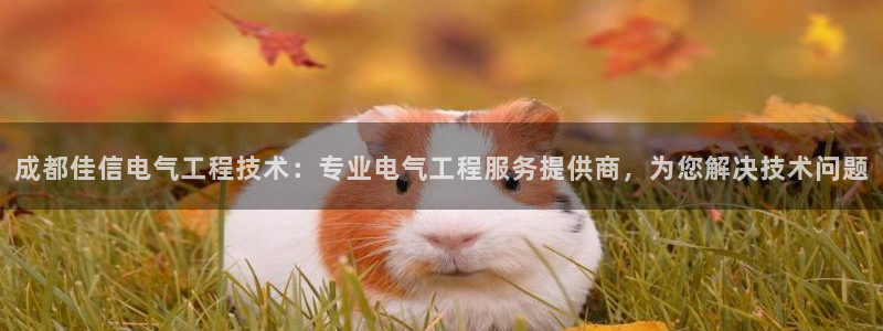 k8凯发是做什么的