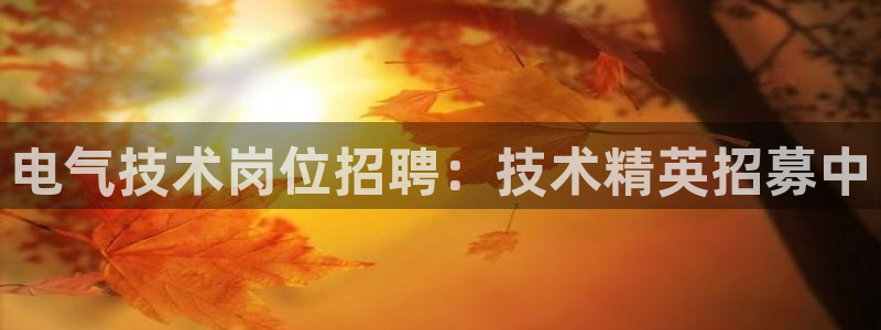 凯发网站是多少
