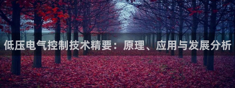 凯发国际平台登录入口官网