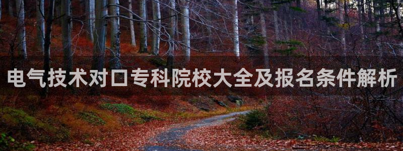 凯发官方手机app