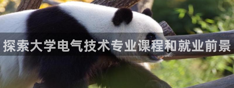 凯发app地址