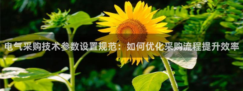 凯发娱乐k8下载