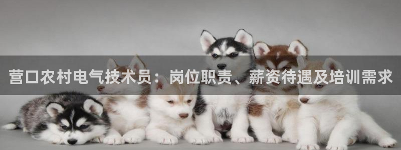 凯发国际平台登录不上