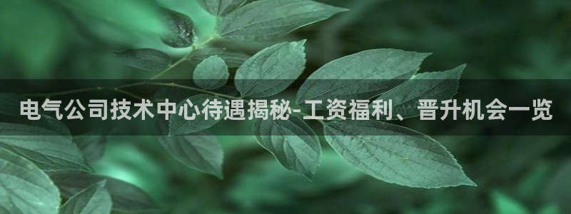 凯发网址登录