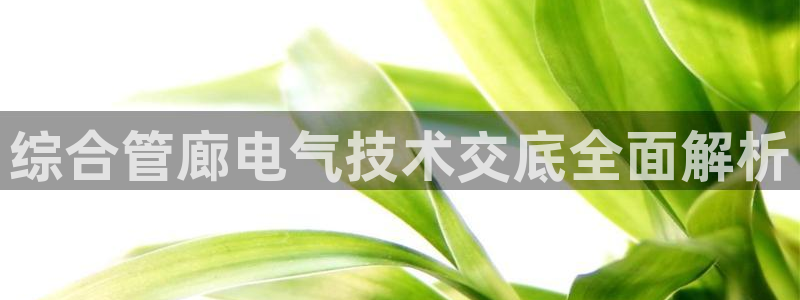 凯发网址直营：综合管廊电气技术交底全面解析