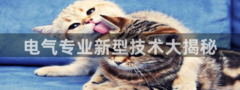 凯发k8客户端