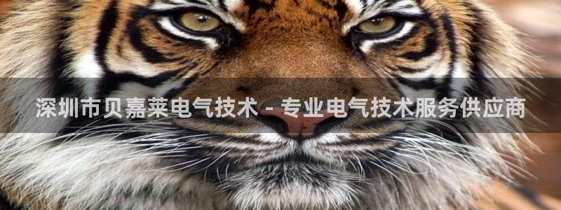 凯发国际网址官网查询