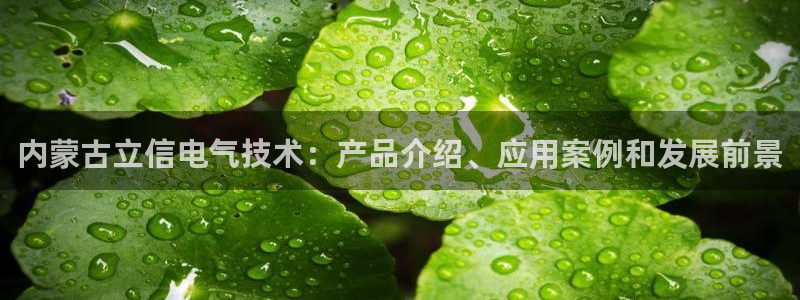 凯发k8娱乐是国内平台?