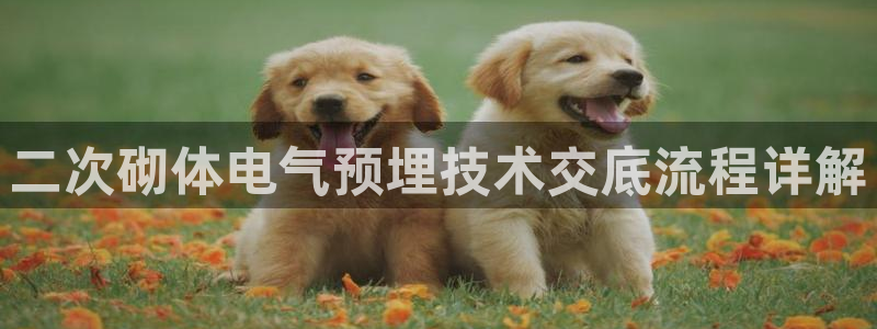 凯发k8娱乐官网手机端中心