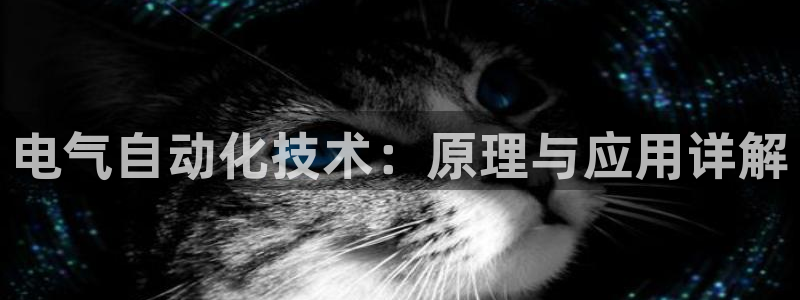 凯发平台风采