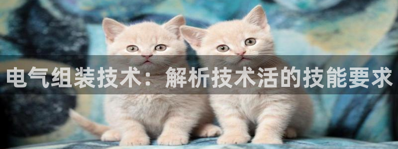 凯发k8国际版官网