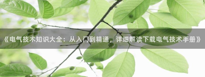 ks8凯发登录网址ios版下载
