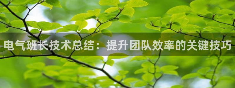 凯发K8登录入口