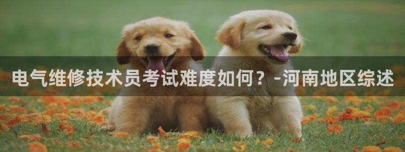凯发国际是什么投资平台