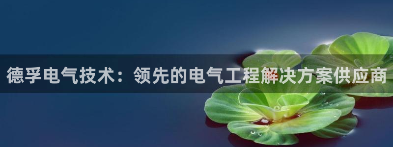 凯发国际网络平台网址