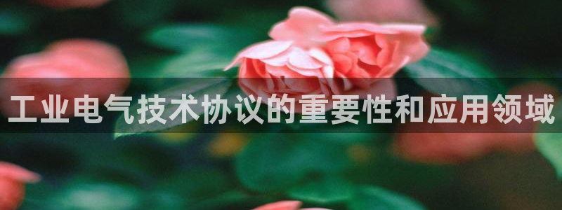 凯发k81111国际真人版
