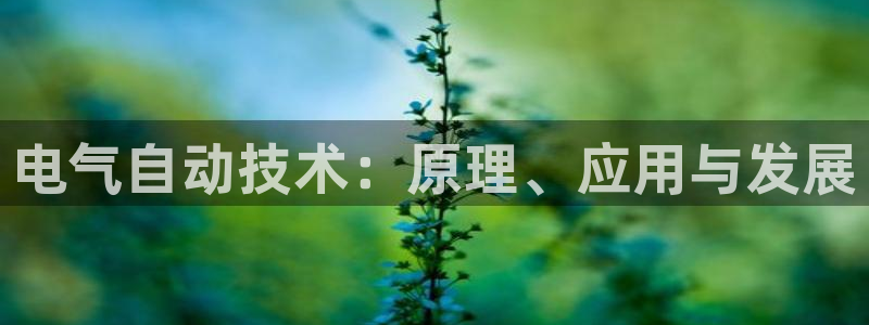 凯发官网|认准kpm