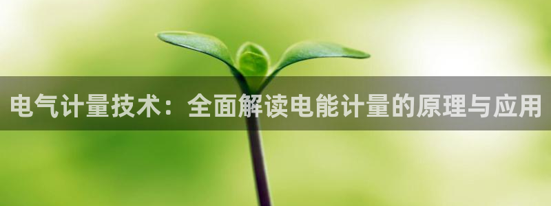 凯发网网站