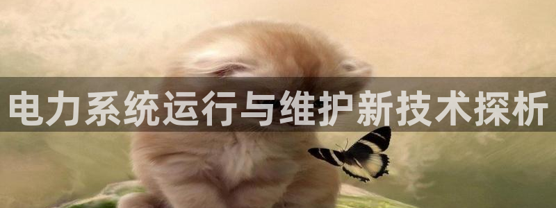 凯发k8国际真人娱乐手机app