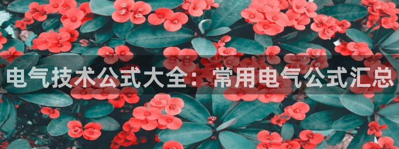 凯发k8娱乐官网最新版本