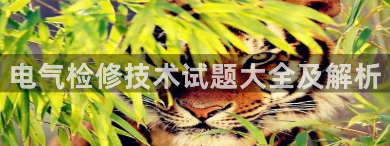 凯发k8555|手机版