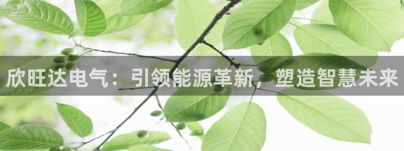 凯发平台k8