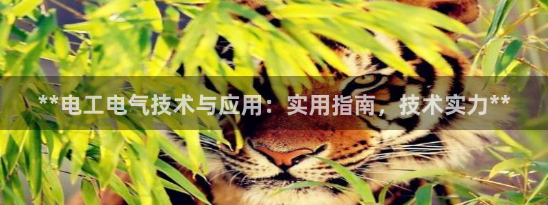 凯发是正规平台吗