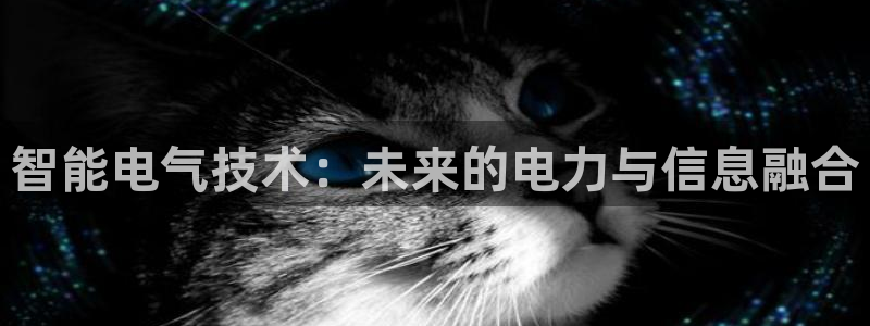 凯发旗舰网站