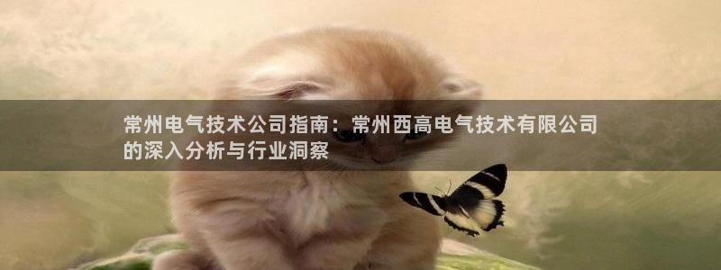 凯发官方网站是多少