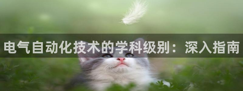 凯发平台医7O777