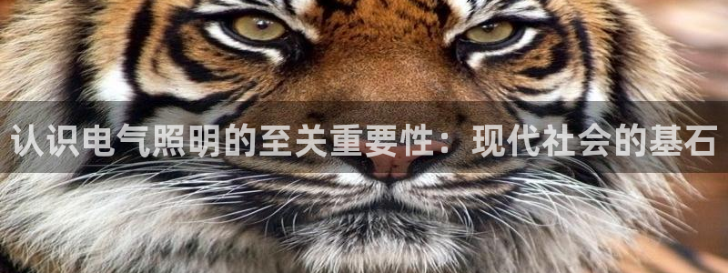 凯发就来凯发天生赢家一触即发