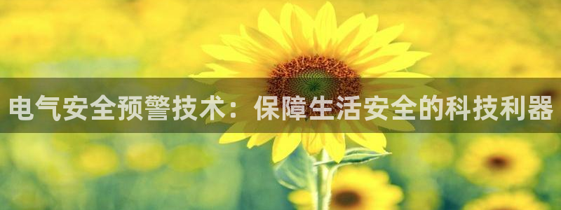 凯发k8官方网娱乐官方：电气安全预警技术：保障生活