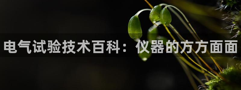 凯发国际官网下载：电气试验技术百科：仪器的方方面面